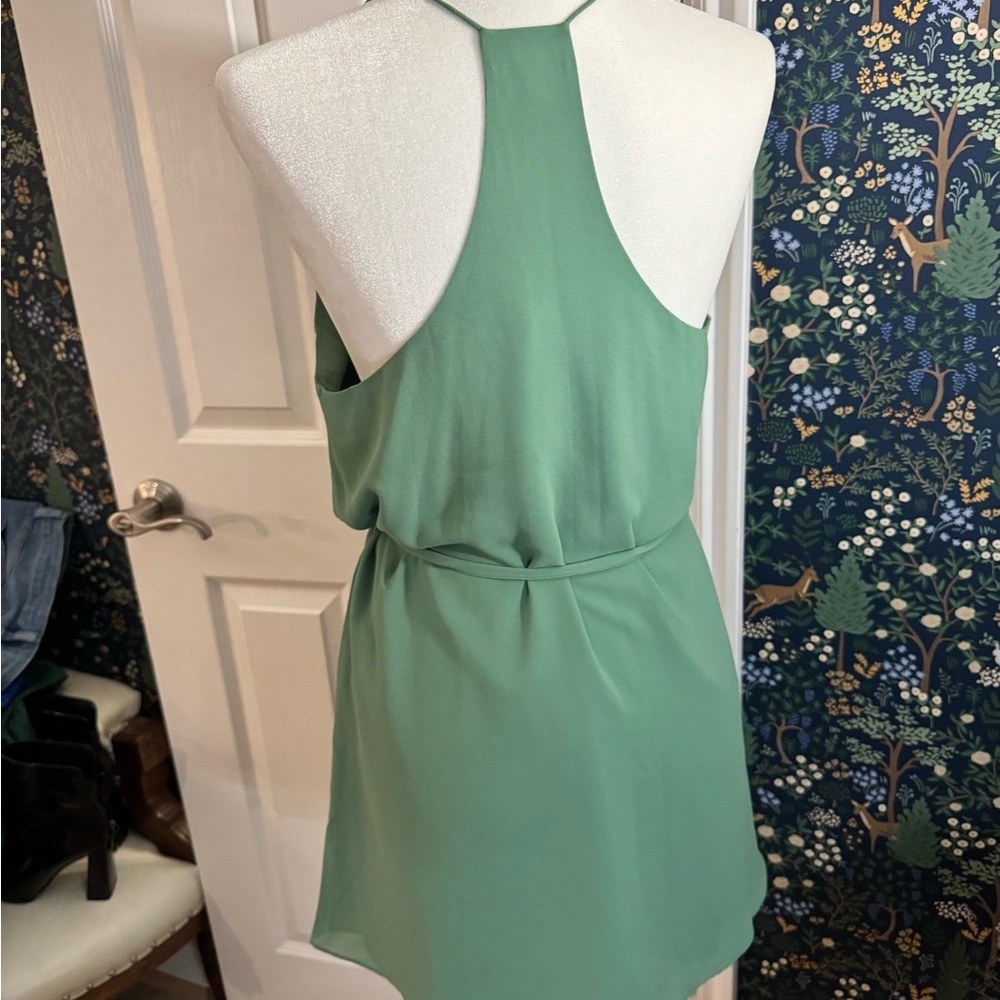 Naked Zebra Teal Mini Dress​ - Picture 4 of 5